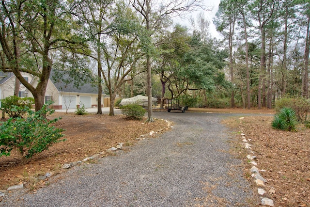 view of street with driveway