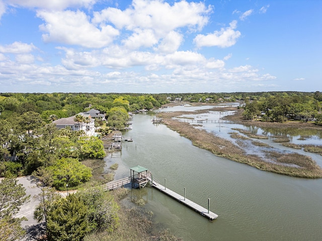 bird's eye view featuring a water view and a wooded view