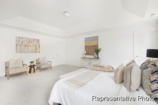 1219 Homecoming Blvd Unit Cc1-27, Ravenel, SC 29470 - bedroom with a raised ceiling and carpet floors