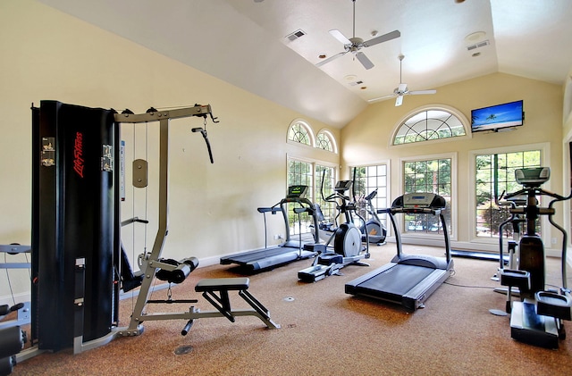 gym with lofted ceiling and carpet floors