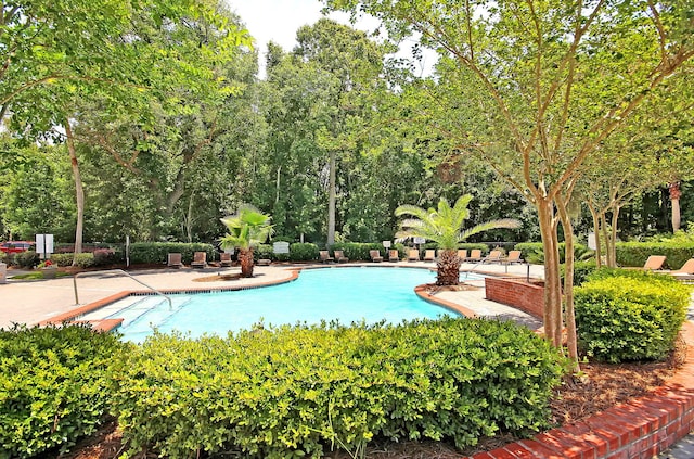 view of pool featuring a patio