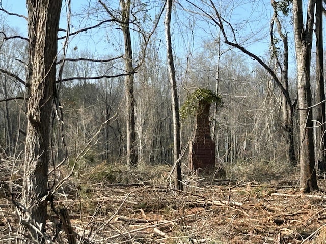 50ACRES Bridlewood Rd, Cheraw, SC 29520