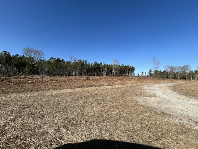 50ACRES Bridlewood Rd, Cheraw, SC 29520