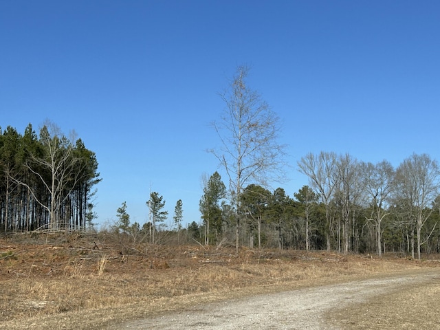 50ACRES Bridlewood Rd, Cheraw, SC 29520