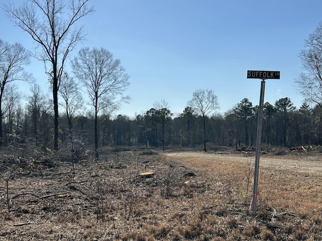 50ACRES Bridlewood Rd, Cheraw, SC 29520