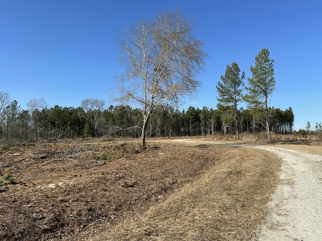 50ACRES Bridlewood Rd, Cheraw, SC 29520