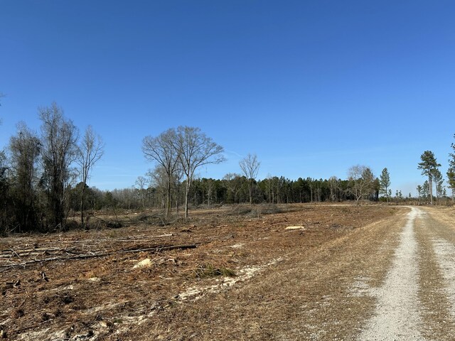 50ACRES Bridlewood Rd, Cheraw, SC 29520