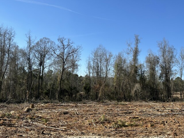 50ACRES Bridlewood Rd, Cheraw, SC 29520