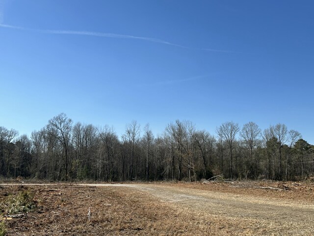 50ACRES Bridlewood Rd, Cheraw, SC 29520