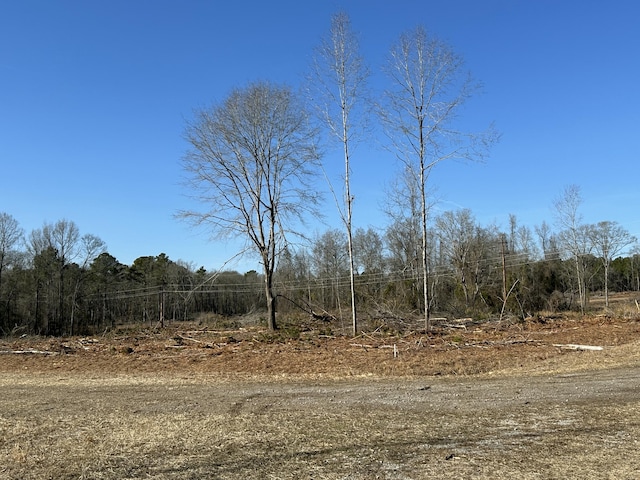 50ACRES Bridlewood Rd, Cheraw, SC 29520
