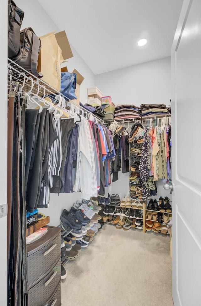 walk in closet with carpet floors