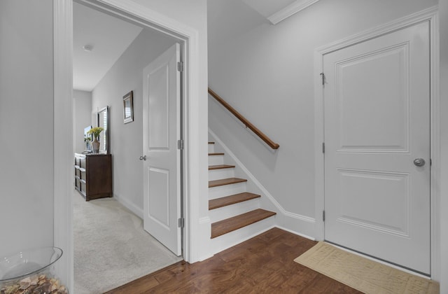 stairs with hardwood / wood-style floors