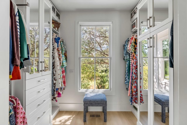 spacious closet with light wood-type flooring