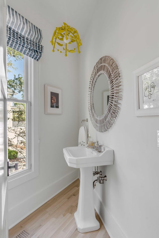 bathroom featuring wood-type flooring