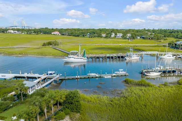 dock area with a water view