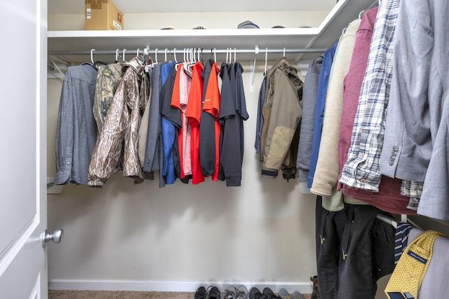 view of walk in closet