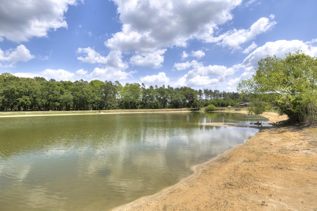 water view featuring a forest view