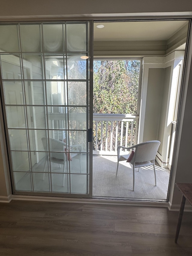 entryway featuring wood-type flooring