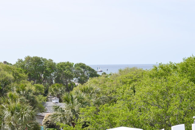 932 Middle St, Sullivans Island, SC 29482 - water view
