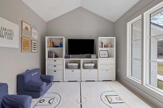 living room featuring lofted ceiling