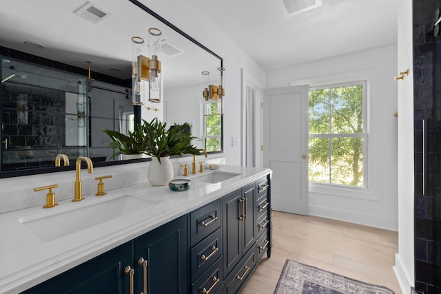 bathroom with plenty of natural light, a sink, and visible vents