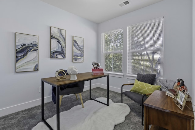 office space with carpet, visible vents, and baseboards