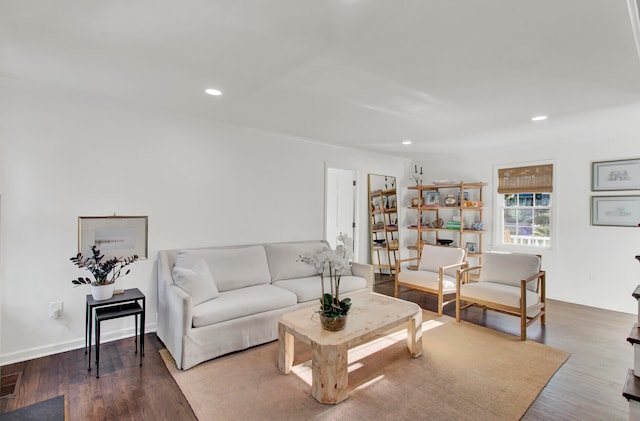 living room with wood-type flooring