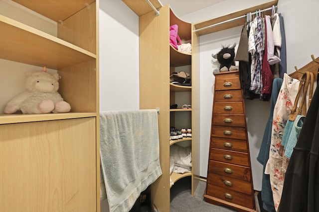 2605 Mona Ave, Charleston, SC 29414 - walk in closet featuring carpet floors