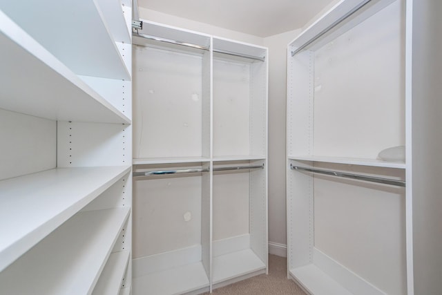 spacious closet with carpet