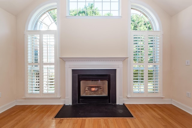 details with wood-type flooring