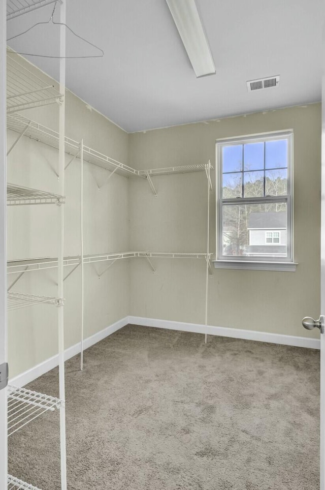 walk in closet with carpet floors and visible vents