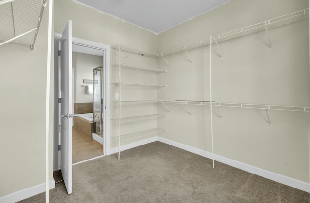 spacious closet with carpet floors