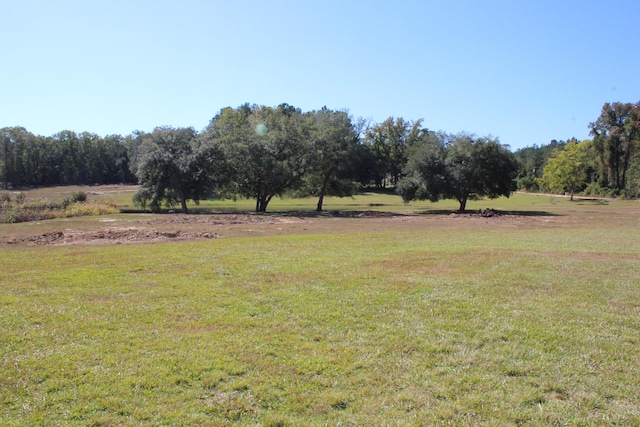 view of yard featuring a rural view