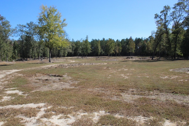 view of nature featuring a wooded view