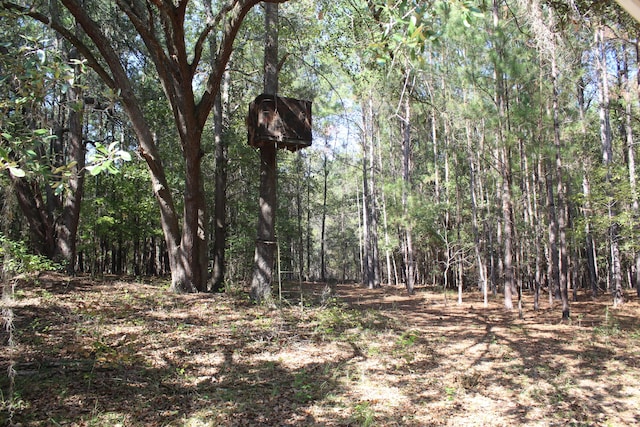 view of landscape with a wooded view