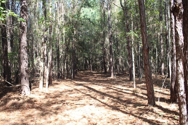 view of nature featuring a wooded view