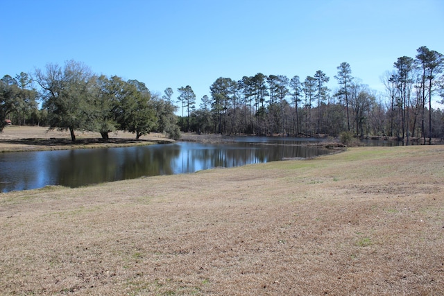 view of water feature