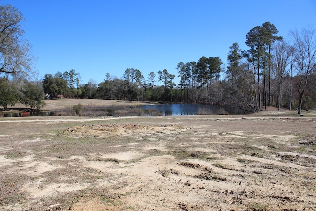 view of yard featuring a water view