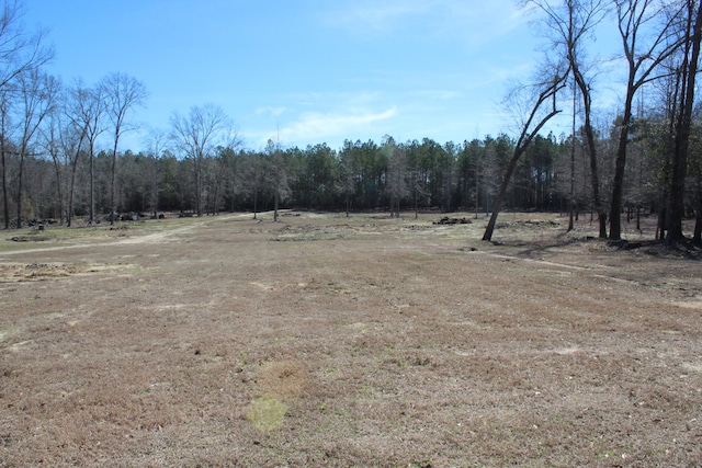 view of local wilderness featuring a wooded view