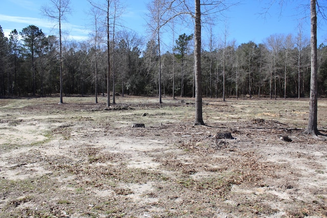 view of local wilderness featuring a view of trees