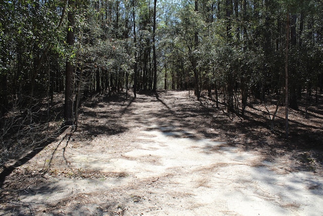 view of street featuring a wooded view