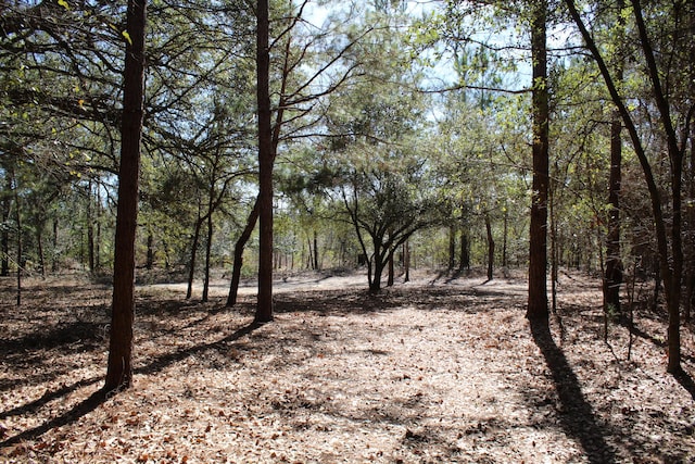 view of nature featuring a wooded view