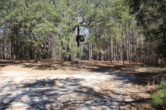 view of street featuring a forest view