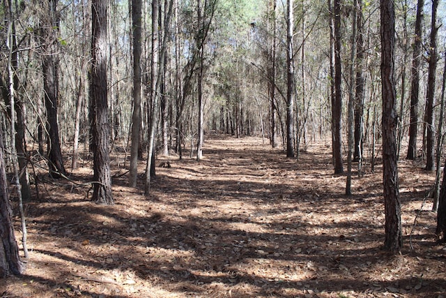 view of landscape