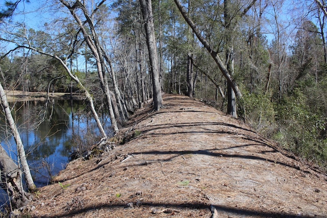 view of street featuring a view of trees