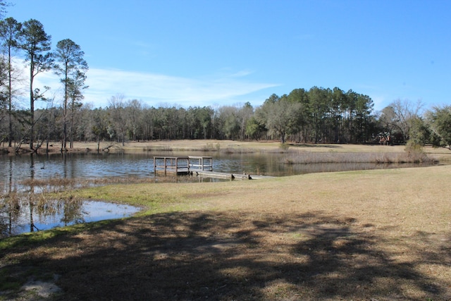 dock area with a water view