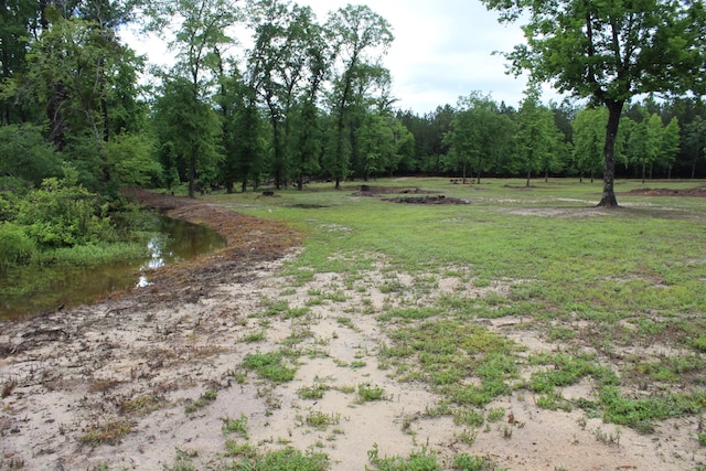 145A Raymond Rd, Orangeburg, SC 29118 - view of street featuring a view of trees