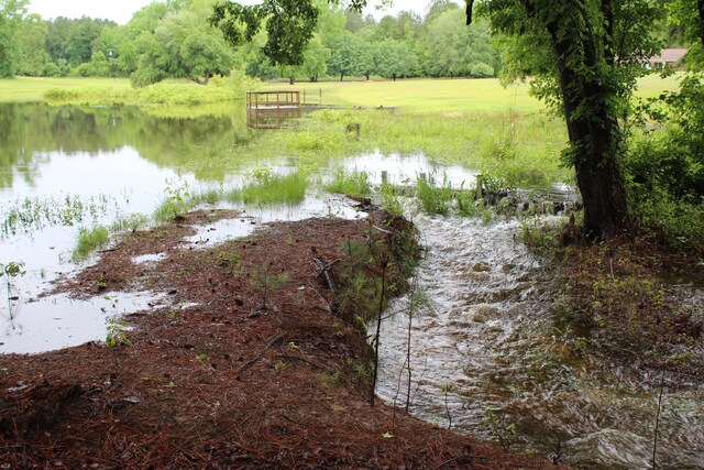 145A Raymond Rd, Orangeburg, SC 29118 - water view with a forest