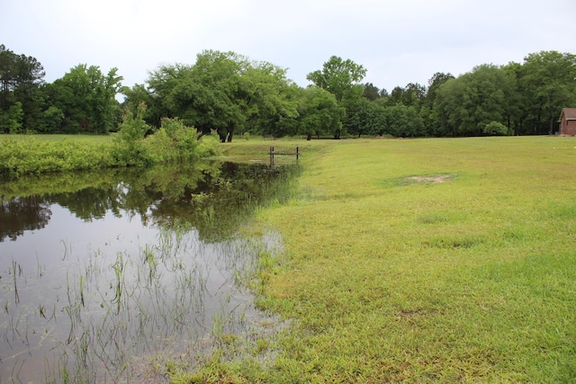 145A Raymond Rd, Orangeburg, SC 29118 - water view