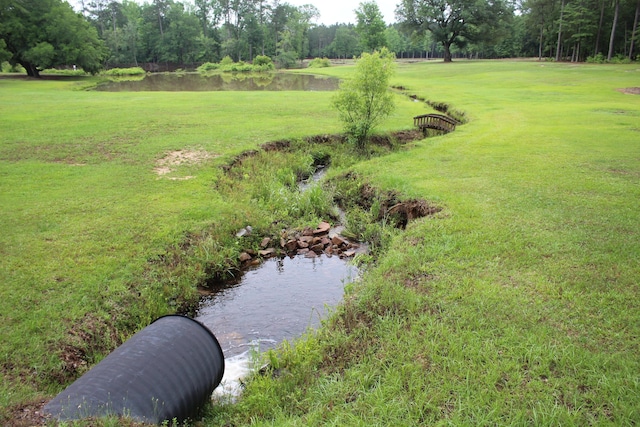 145A Raymond Rd, Orangeburg, SC 29118 - view of grassy yard